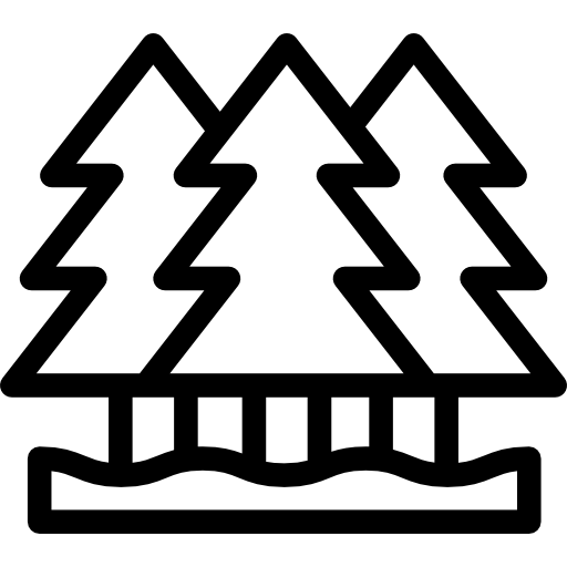 パインズ Detailed Rounded Lineal icon