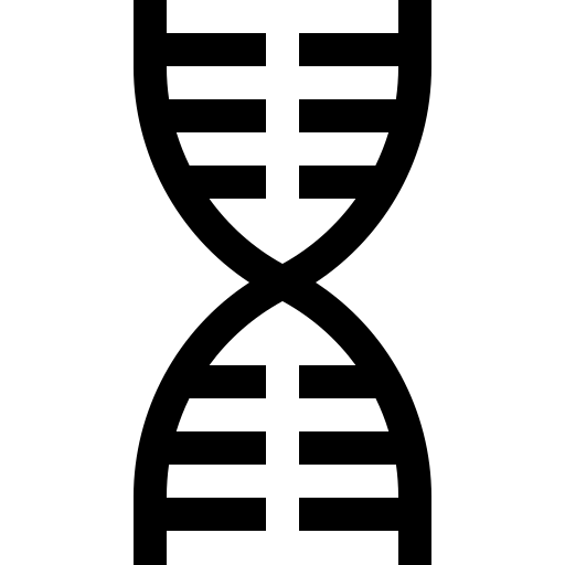 dna Basic Straight Lineal icon