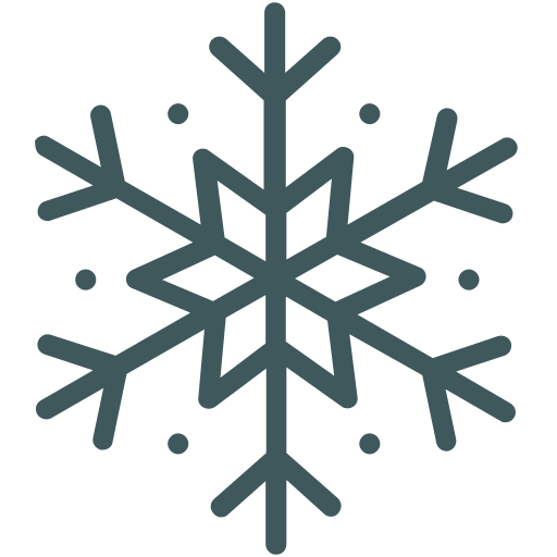płatek śniegu Generic Detailed Outline ikona