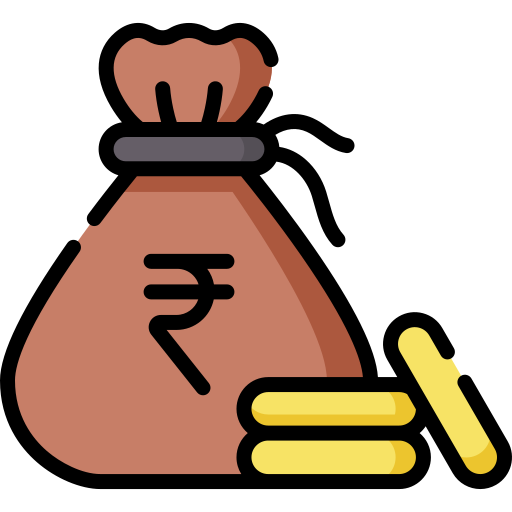 Rupee Special Lineal color icon