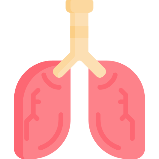 pulmón Special Flat icono