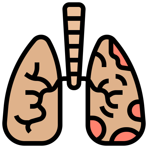 poumons Meticulous Lineal Color Icône