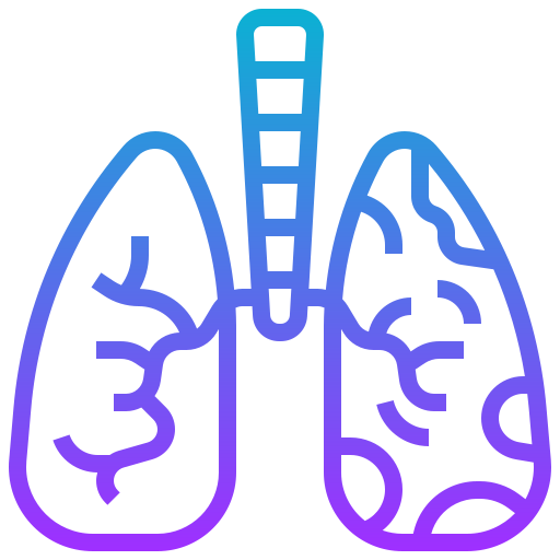 pulmões Meticulous Gradient Ícone