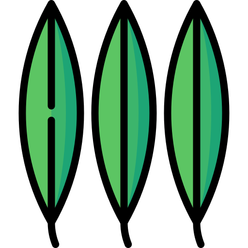eukaliptus Special Lineal color ikona