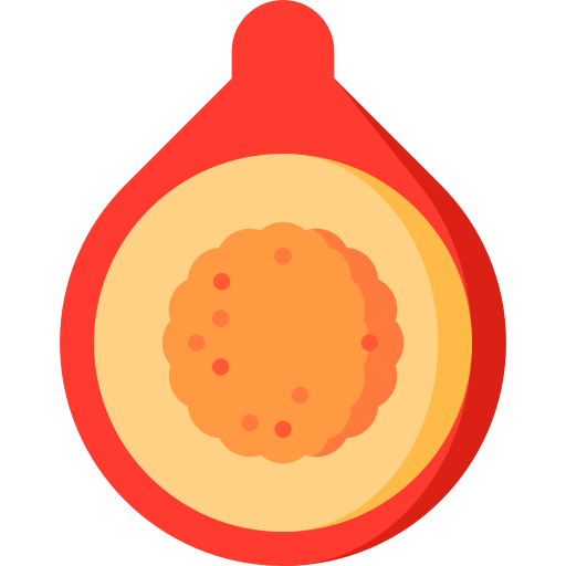 quandong Special Flat icon