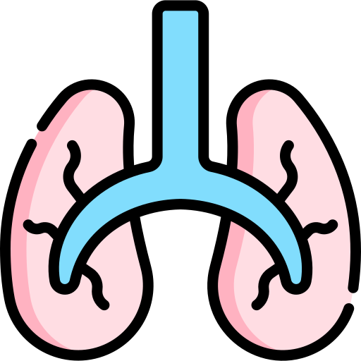 pulmões Kawaii Lineal color Ícone
