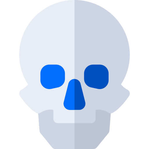 두개골 Basic Rounded Flat icon