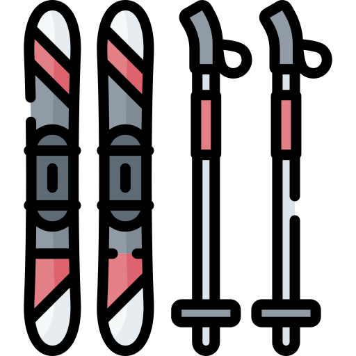 skifahren Special Lineal color icon