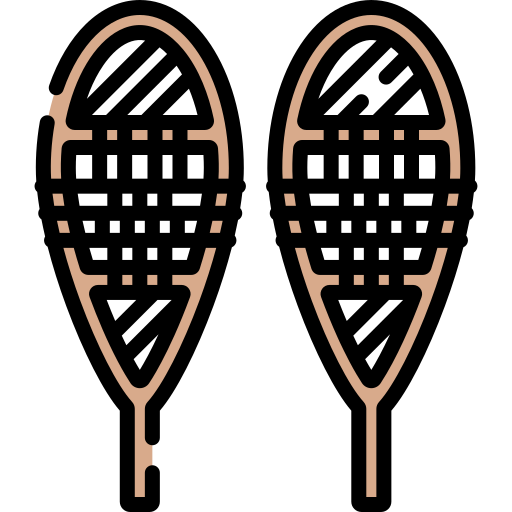 raquetas de nieve Special Lineal color icono
