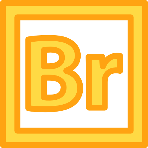 adobe-brücke Detailed Rounded Lineal color icon