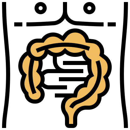 Intestine Meticulous Yellow shadow icon