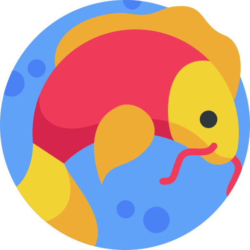 鯉 Detailed Flat Circular Flat icon
