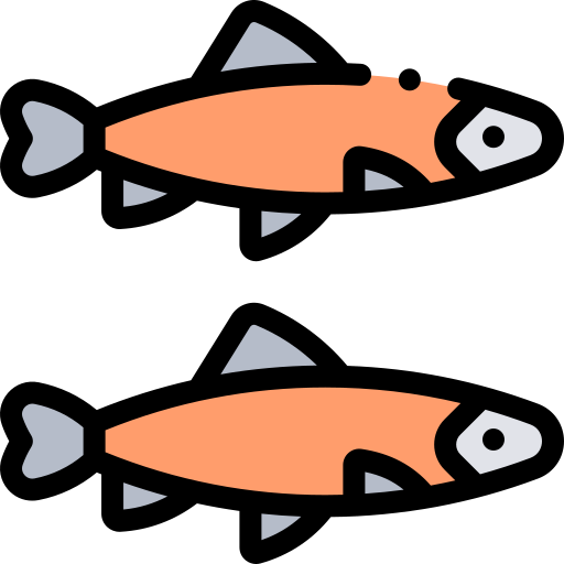 Salmon Detailed Rounded Lineal color icon