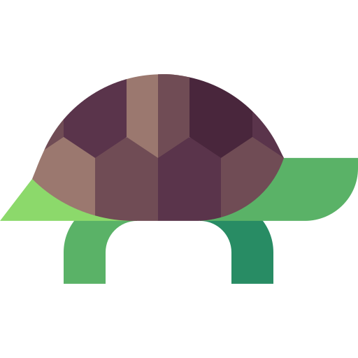 Turtle Basic Straight Flat icon