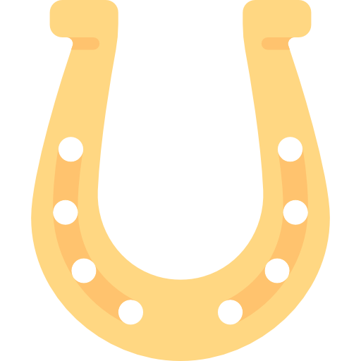 Horseshoes Special Flat icon