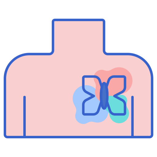 parte superior del cuerpo Flaticons Lineal Color icono
