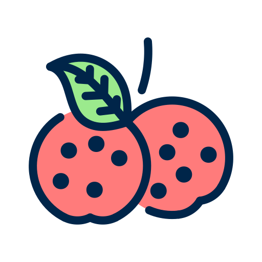 tomate Generic Outline Color icono