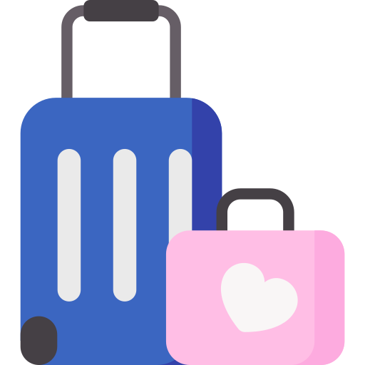 Travel bag Special Flat icon