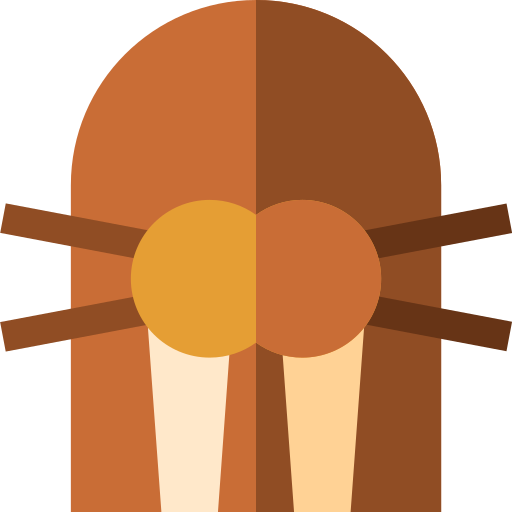 Sea lion Basic Straight Flat icon
