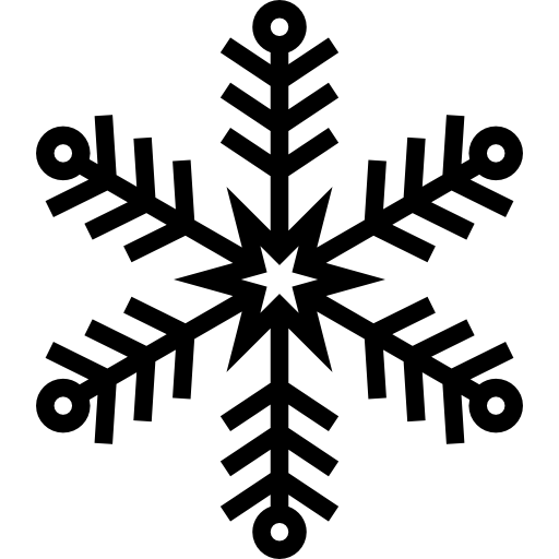 płatek śniegu Meticulous Line ikona