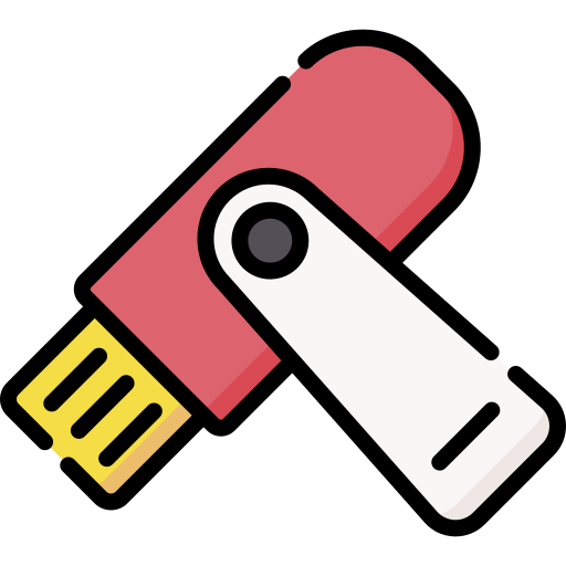 flash-disk Special Lineal color icon