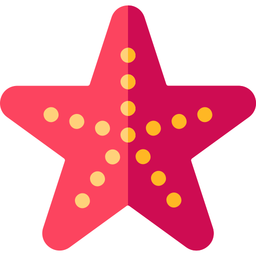 Starfish Basic Straight Flat icon