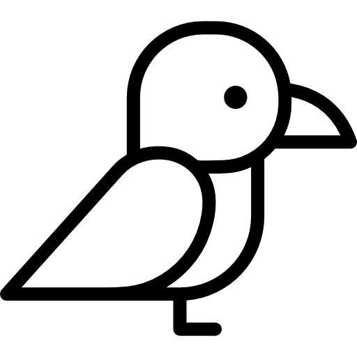cuervo Special Lineal icono
