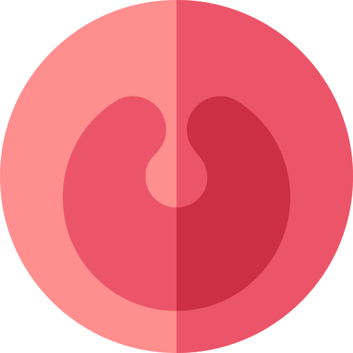 扁桃腺 Basic Rounded Flat icon