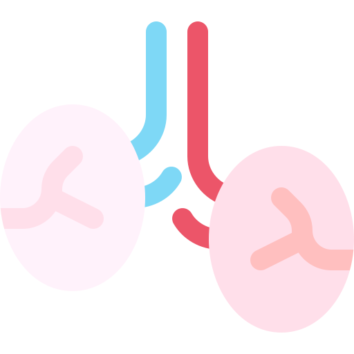 睾丸 Basic Rounded Flat icon