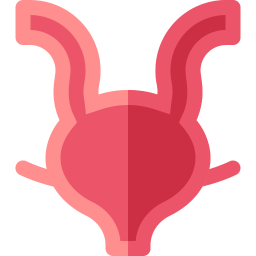膀胱 Basic Rounded Flat icon