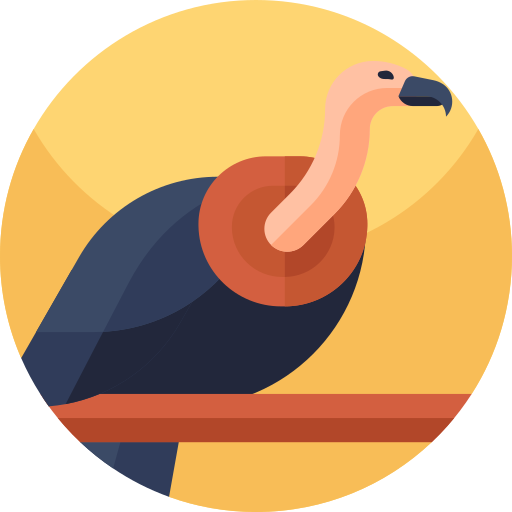 avvoltoio Geometric Flat Circular Flat icona