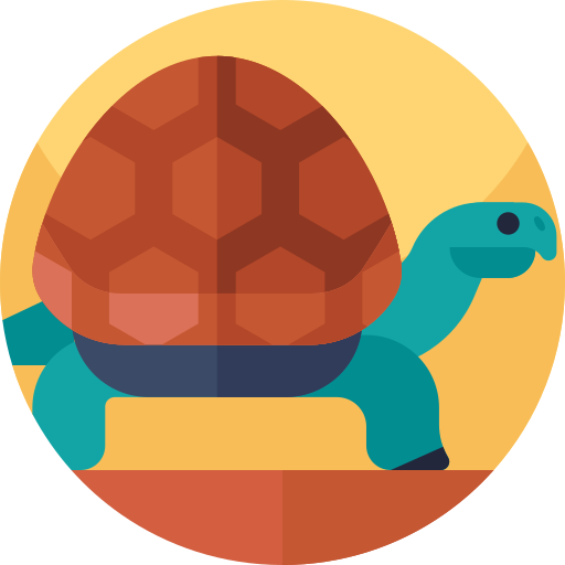 tartaruga Geometric Flat Circular Flat icona