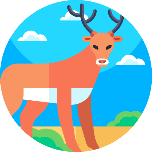 Deer Geometric Flat Circular Flat icon