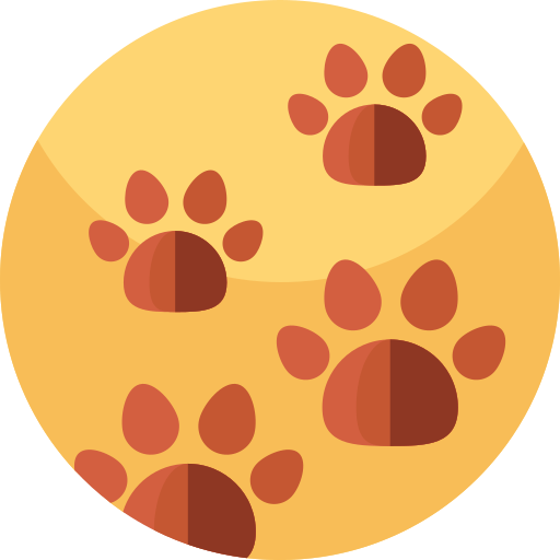 Footprint Geometric Flat Circular Flat icon