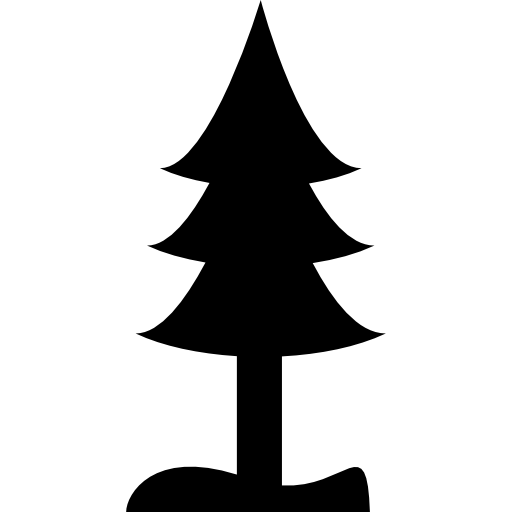 Pine  icon