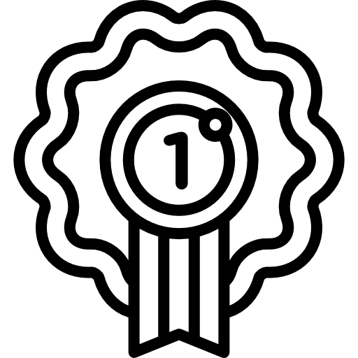 Medal Special Lineal icon