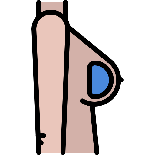 Breast Coloring Color icon