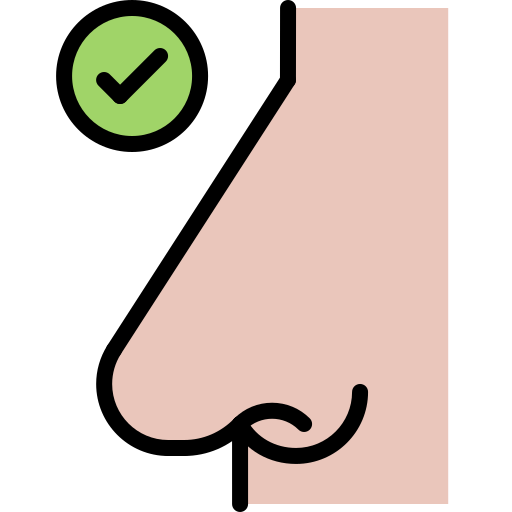 nariz Coloring Color icono