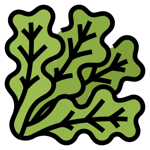 Lettuce Aphiradee (monkik) Lineal Color icon