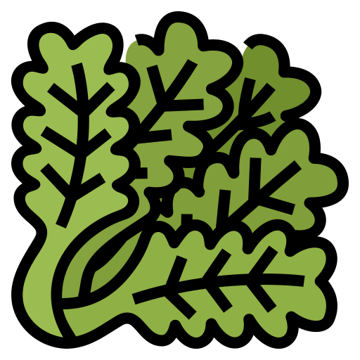 Lettuce Aphiradee (monkik) Lineal Color icon