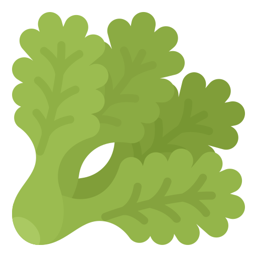 Lettuce Aphiradee (monkik) Flat icon