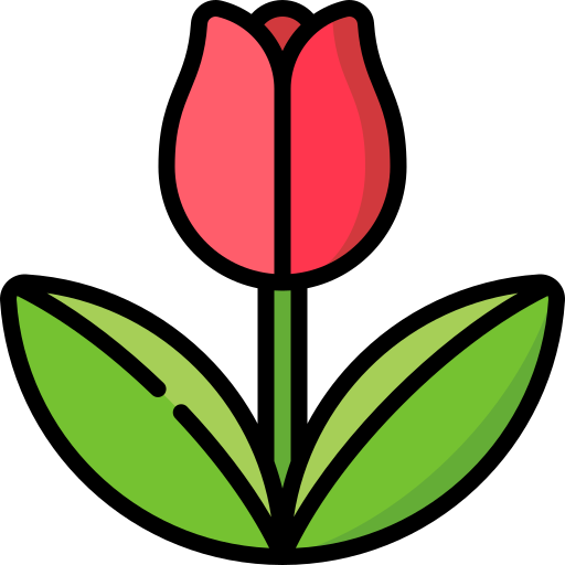blume Special Lineal color icon
