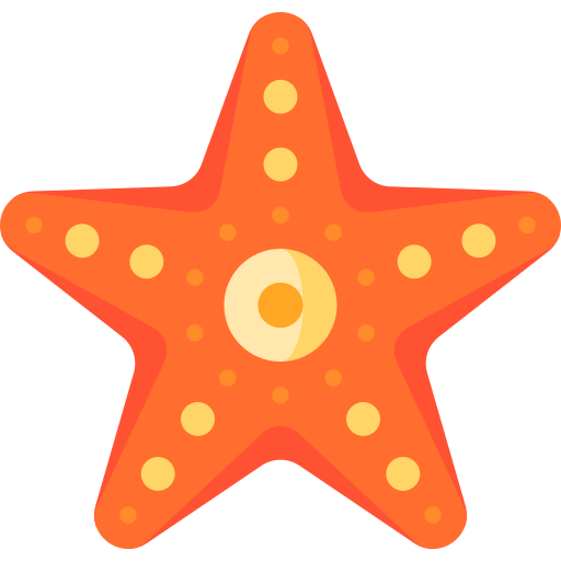 estrelas do mar Special Flat Ícone