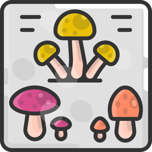 버섯 SBTS2018 Lineal Color icon