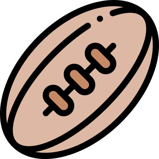 Rugby Detailed Rounded Lineal color icon