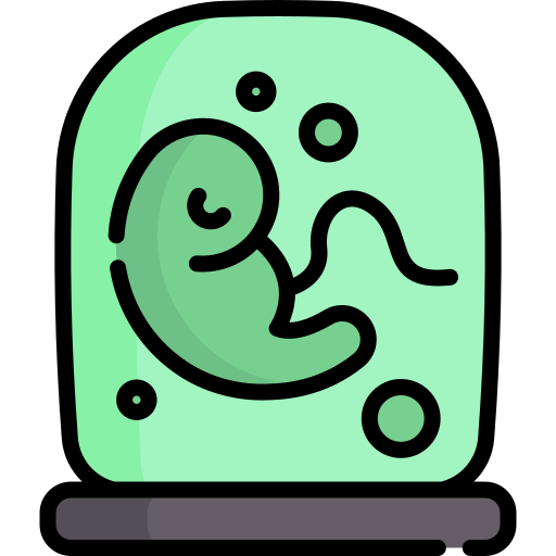 embrión Special Lineal color icono