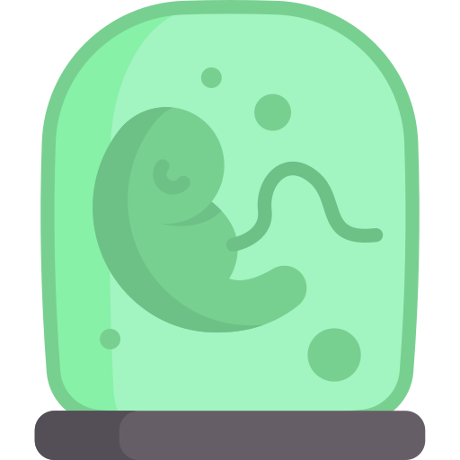 embrião Special Flat Ícone