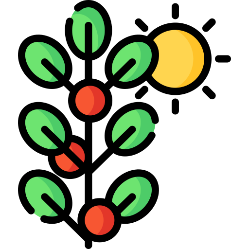 frutti di bosco Special Lineal color icona