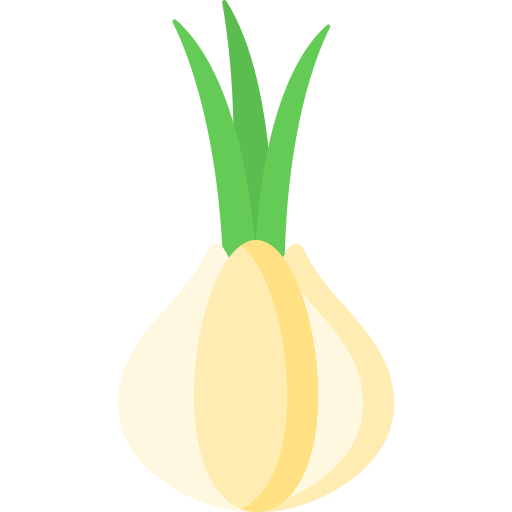 Onion Special Flat icon