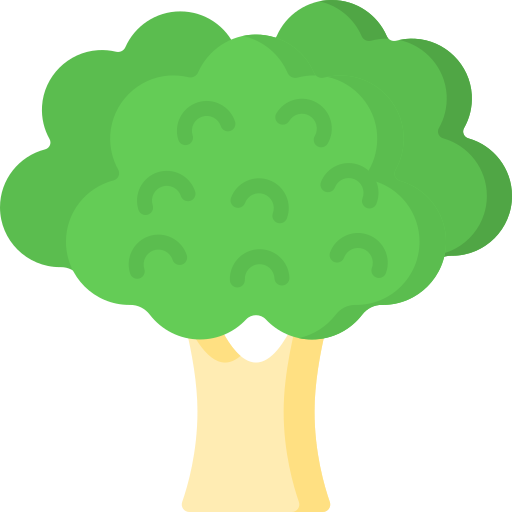 Broccoli Special Flat icon